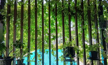 1 Bedroom House for sale in Khok Kloi, Phangnga