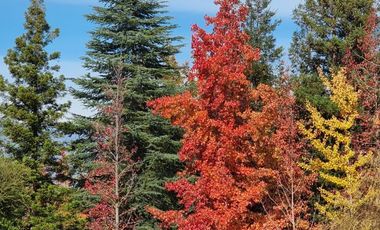 Casa en venta en PAINE
