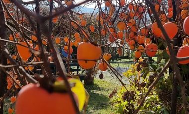 Casa en venta en PAINE