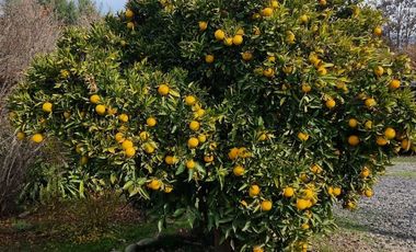 Casa en venta en PAINE
