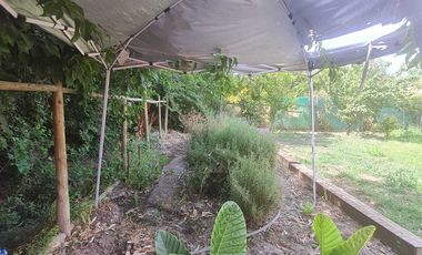 Casa en venta  en LAMPA