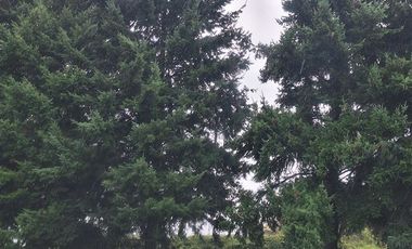 Casa en Venta en Sector Los Maitenes, Human Los Angeles