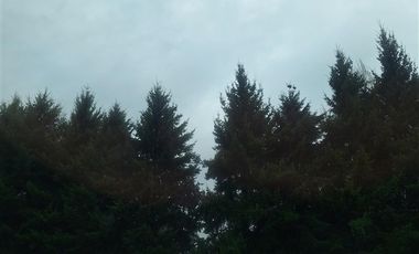 Casa en Venta en Sector Los Maitenes, Human Los Angeles