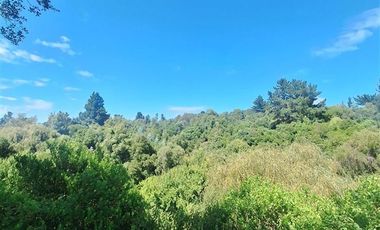 Agrícola en Venta en RUTA Q-115