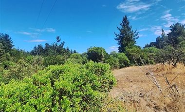 Agrícola en Venta en RUTA Q-115