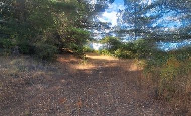 Agrícola en Venta en RUTA Q-115