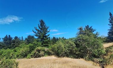 Agrícola en Venta en RUTA Q-115