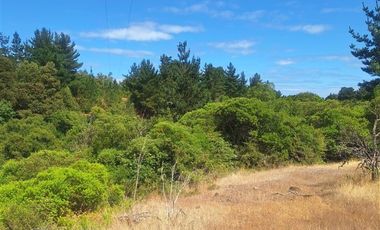 Agrícola en Venta en RUTA Q-115