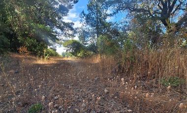 Agrícola en Venta en RUTA Q-115