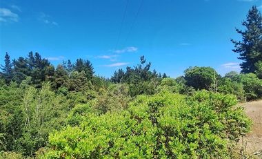 Parcela en Venta en RUTA Q-115