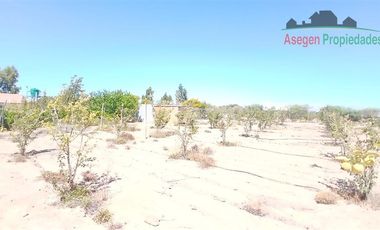 Casa en Venta en Casa en venta en Huasco