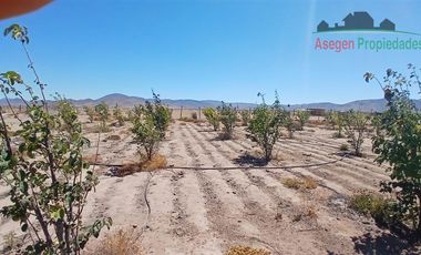 Casa en Venta en Casa en venta en Huasco