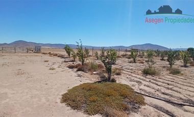 Casa en Venta en Casa en venta en Huasco