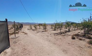 Casa en Venta en Casa en venta en Huasco