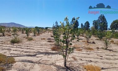 Casa en Venta en Casa en venta en Huasco