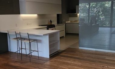 Departamento en Renta Amueblado Rubén Darío Polanco