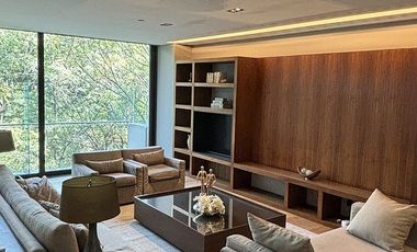 Departamento en Renta Amueblado Rubén Darío Polanco