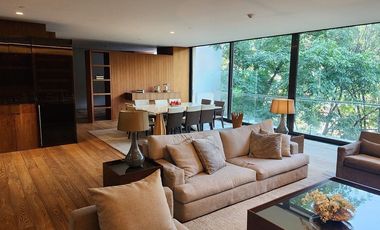 Departamento en Renta Amueblado Rubén Darío Polanco