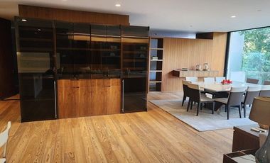 Departamento en Renta Amueblado Rubén Darío Polanco