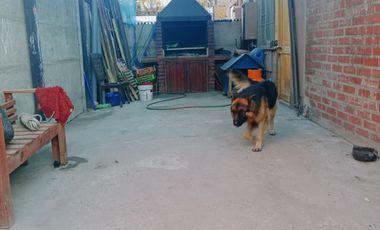 CASA ESQUINA 5 HABITACIONES SAN BERNARDO