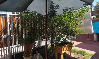 Casa en venta  en MACUL
