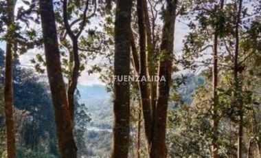 Casa en Arriendo en fundo Nueva Braunau llanquihue