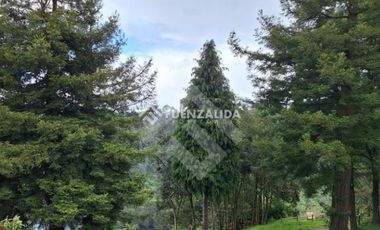 Casa en Arriendo en fundo Nueva Braunau llanquihue
