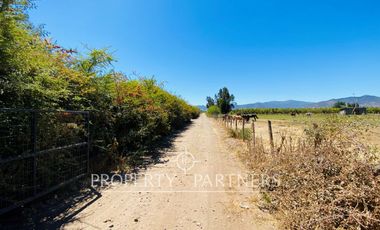 Palmilla, Terrenos en Excelente Ubicación