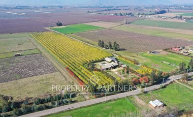 Palmilla, Terrenos en Excelente Ubicación