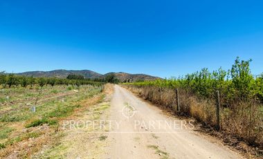 Palmilla, Terrenos en Excelente Ubicación