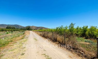 Palmilla, Terrenos en Excelente Ubicación