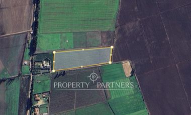 Palmilla, Terrenos en Excelente Ubicación