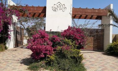 Venta de Terreno Quilmana Cañeta