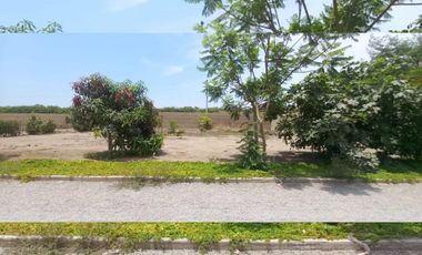 Venta de Terreno Quilmana Cañeta
