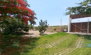Venta de Terreno Quilmana Cañeta
