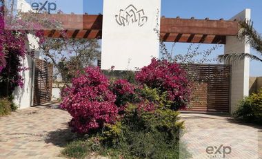Venta de Terreno Quilmana Cañeta