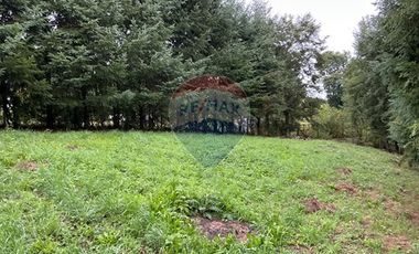Casa en parcela Villarrica Pucón