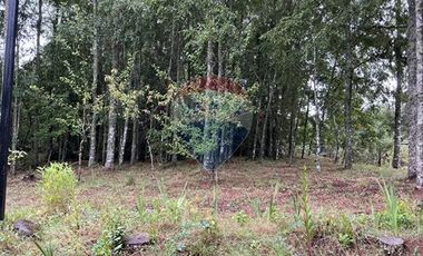 Casa en parcela Villarrica Pucón