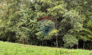 Casa en parcela Villarrica Pucón