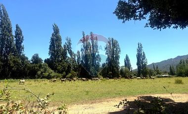 Parcela 5.000 m² con casa 2D+2B - Ancoa, Linares