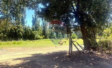 Parcela 5.000 m² con casa 2D+2B - Ancoa, Linares