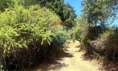 Parcela 5.000 m² con casa 2D+2B - Ancoa, Linares