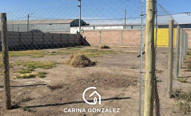 Alquiler Terreno  en Plottier