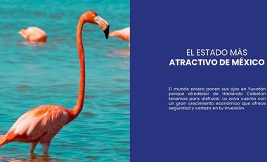 Venta Terreno en Tetiz Yucatan con club de playa