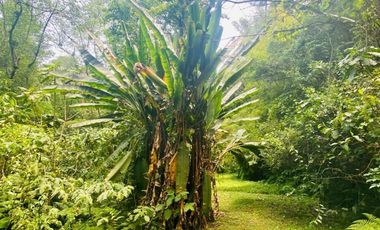 Casa en renta Xalapa zona Campestre San Andres Tlalnehuayocan