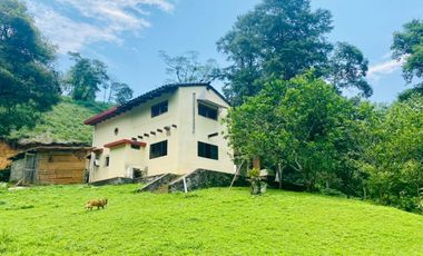 Casa en renta Xalapa zona Campestre San Andres Tlalnehuayocan