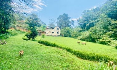 Casa en renta Xalapa zona Campestre San Andres Tlalnehuayocan