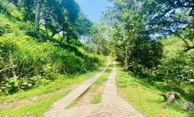 Casa en renta Xalapa zona Campestre San Andres Tlalnehuayocan
