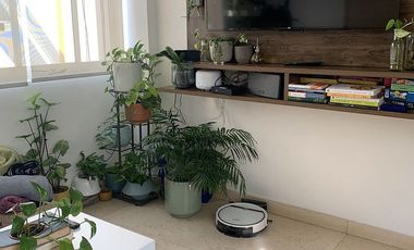 RENTA Departamento en Col. San Rafael