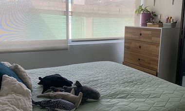 RENTA Departamento en Col. San Rafael